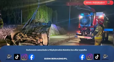 Dachowanie samochodu w Międzybrodziu Bialskim bez ofiar wypadku