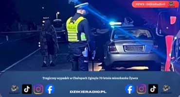 Tragiczny wypadek w Chałupach Zginęła 70 letnia mieszkanka Żywca