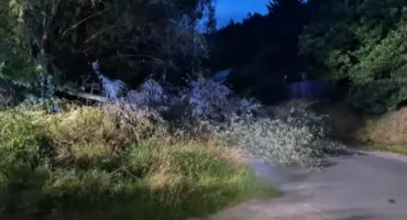 Strażacy z OSP Czernichów-Tresna usunęli powalone drzewa po silnym wietrze